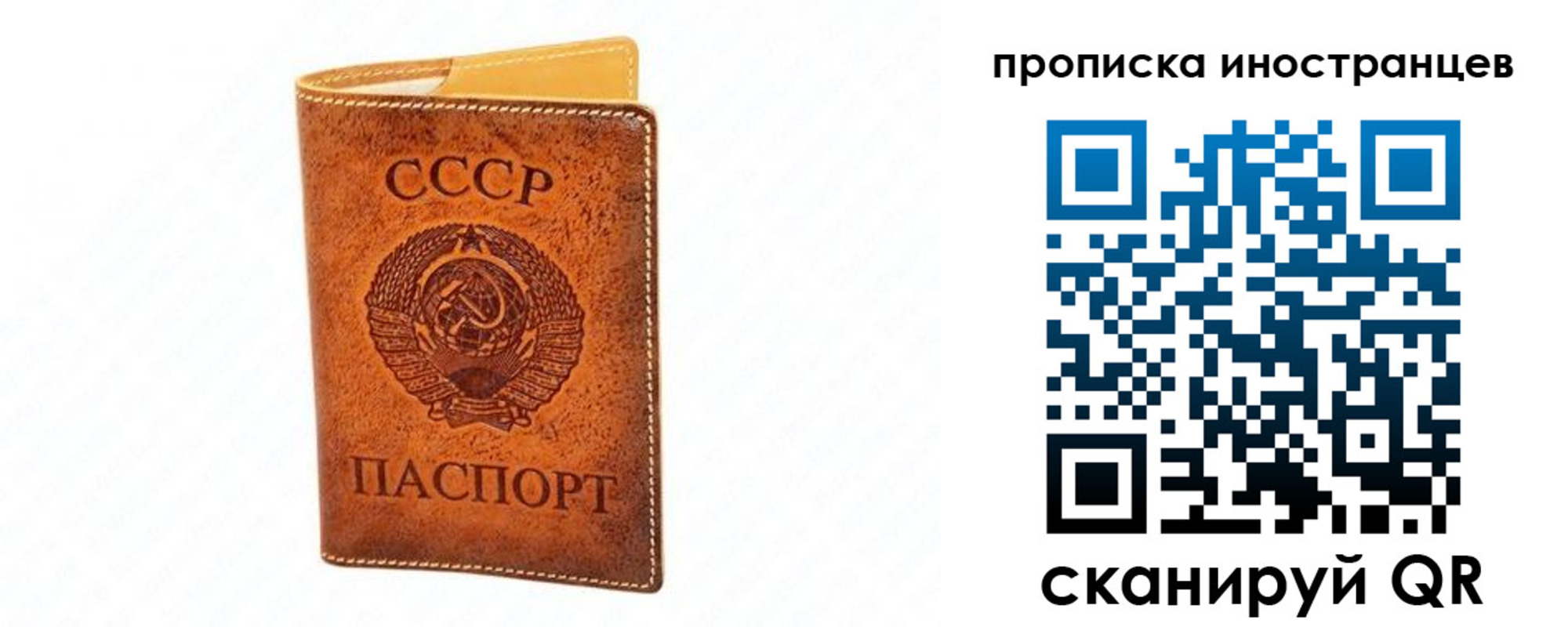 прописка для школы в Наволоках